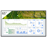 Sony Bravia 65inch Professional Display  FW-65BZ30L