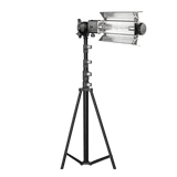 Digitek Porta Kit 14FT L Heavy Duty Porta Kit with Pair of Light Stands