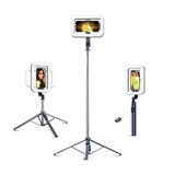 Digitek DTR 630 SS Extendable Tripod Selfie Stick with Fill Light, Quadpod Base