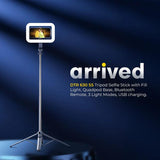 Digitek DTR 630 SS Extendable Tripod Selfie Stick with Fill Light, Quadpod Base