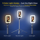 Digitek DTR 630 SS Extendable Tripod Selfie Stick with Fill Light, Quadpod Base