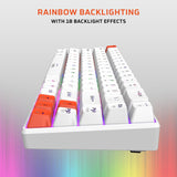 Amkette EvoFox Katana S Mini Wireless Mechanical Keyboard  Tri-Mode 3X BT, 2.4GHz & Wired Connectivity  Hot-Swappable Red Switches  68-Key Compact Layout White