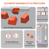 Amkette EvoFox Katana S Mini Wireless Mechanical Keyboard  Tri-Mode 3X BT, 2.4GHz & Wired Connectivity  Hot-Swappable Red Switches  68-Key Compact Layout White