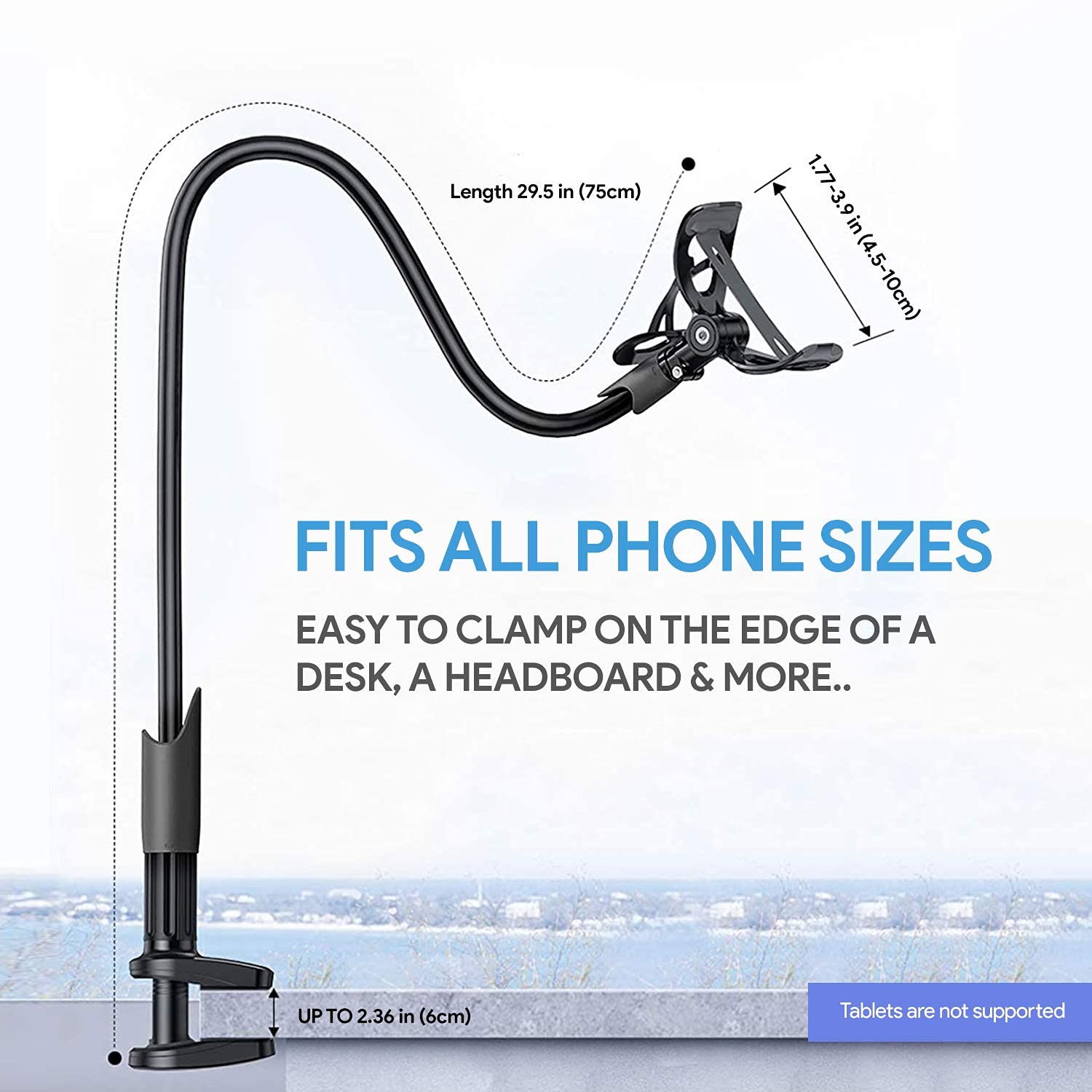 iGrip Bike Phone Mount – Amkette