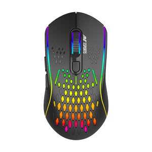 Ant Esports GM700 Wireless Gaming Mouse BROOT COMPUSOFT LLP JAIPUR 