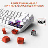 Amkette EvoFox Katana S Mini Wireless Mechanical Keyboard  Tri-Mode 3X BT, 2.4GHz & Wired Connectivity  Hot-Swappable Red Switches  68-Key Compact Layout White