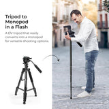 Digitek Tripod DPTR 895VD Professional Tripod CUM Monopod with Multipurpose Head for Low Level Shoot & Panning for Photography