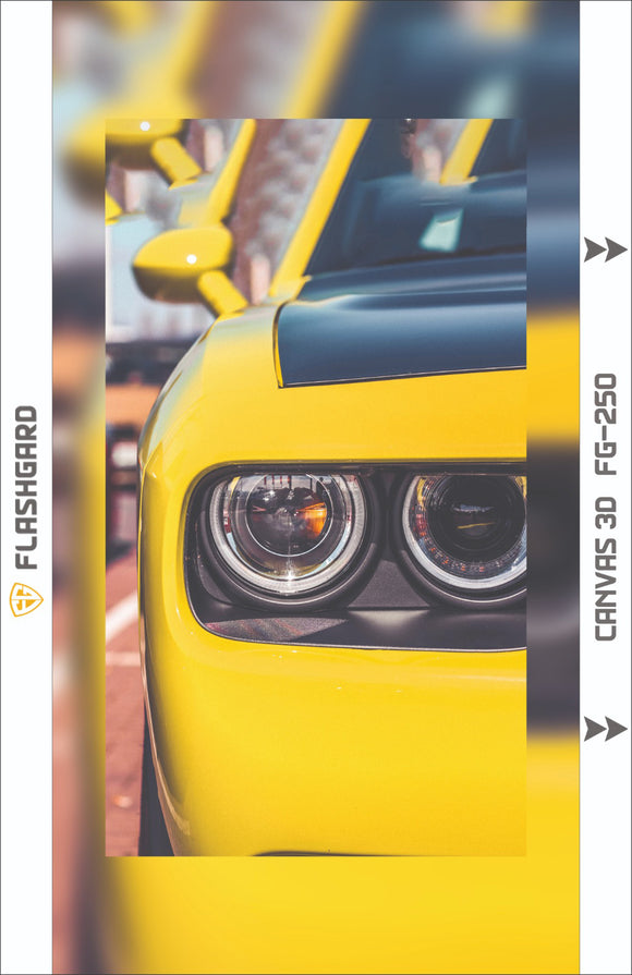 Flashgard 3D Sheet for Mobile Back Car FG-250 BROOT COMPUSOFT LLP JAIPUR 
