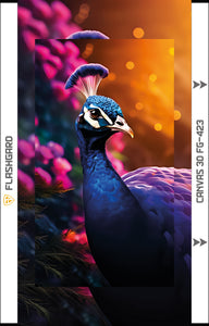 Flashgard 3D Sheet for Mobile Back Peacock FG-423 BROOT COMPUSOFT LLP JAIPUR 