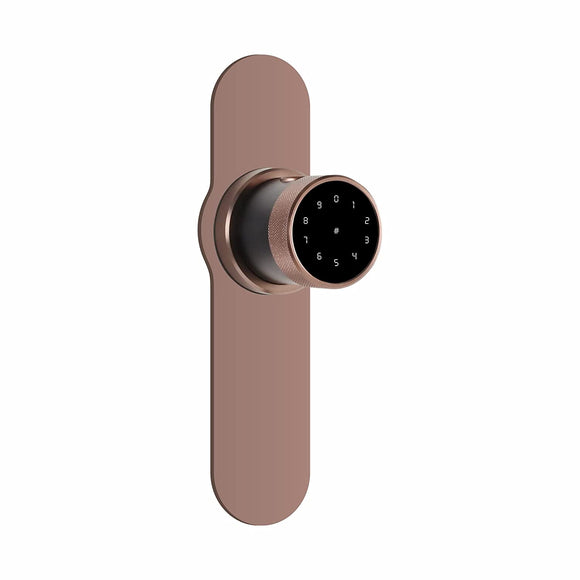 Ozone OZ-FDL-11-P-Life Antique Bronze Smart Lock with Google Assistant & Alexa Enabled