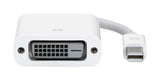 Apple Mini DisplayPort to DVI Adapter MB570Z/B BROOT COMPUSOFT LLP JAIPUR